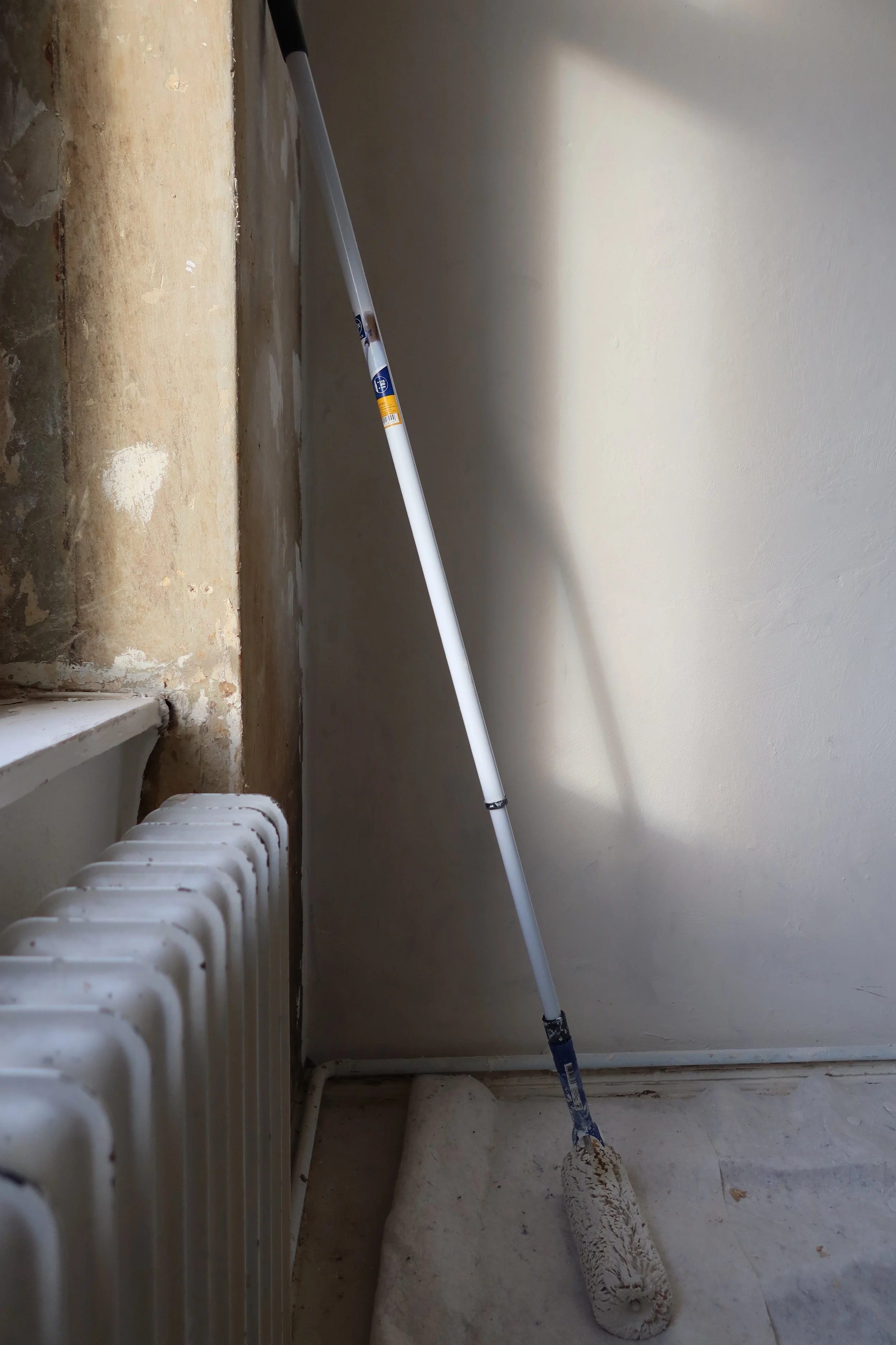 Healthy & Sustainable renovation in Berlin