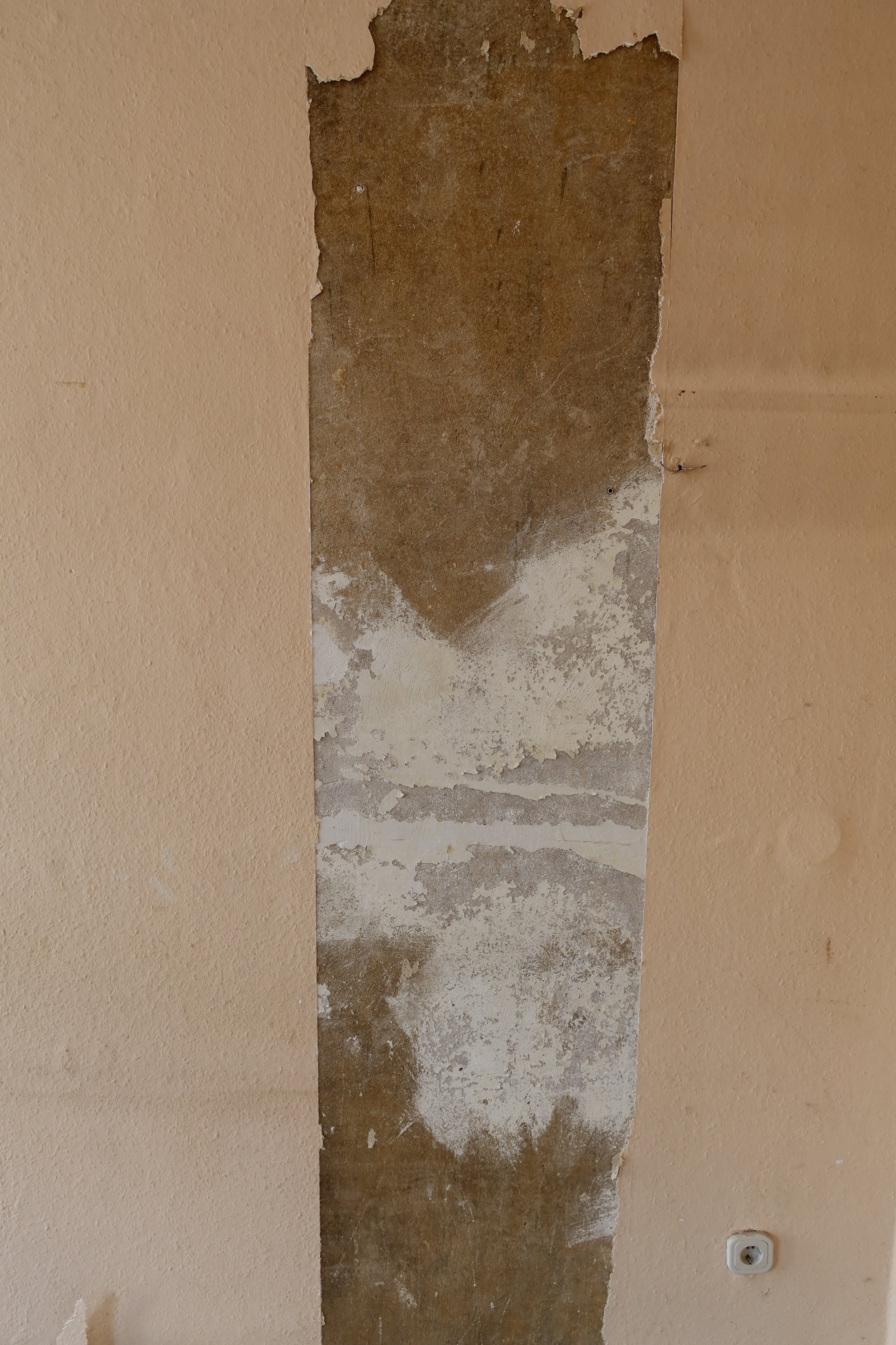 Healthy & Sustainable renovation in Berlin