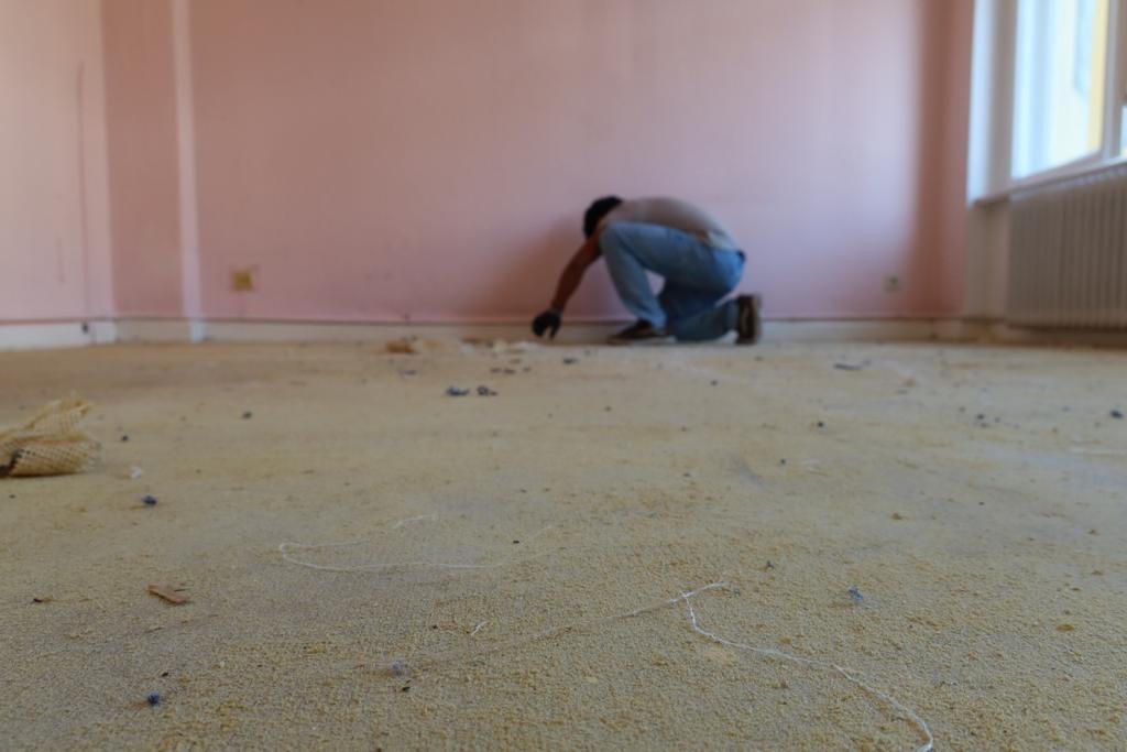 Healthy & Sustainable renovation in Berlin