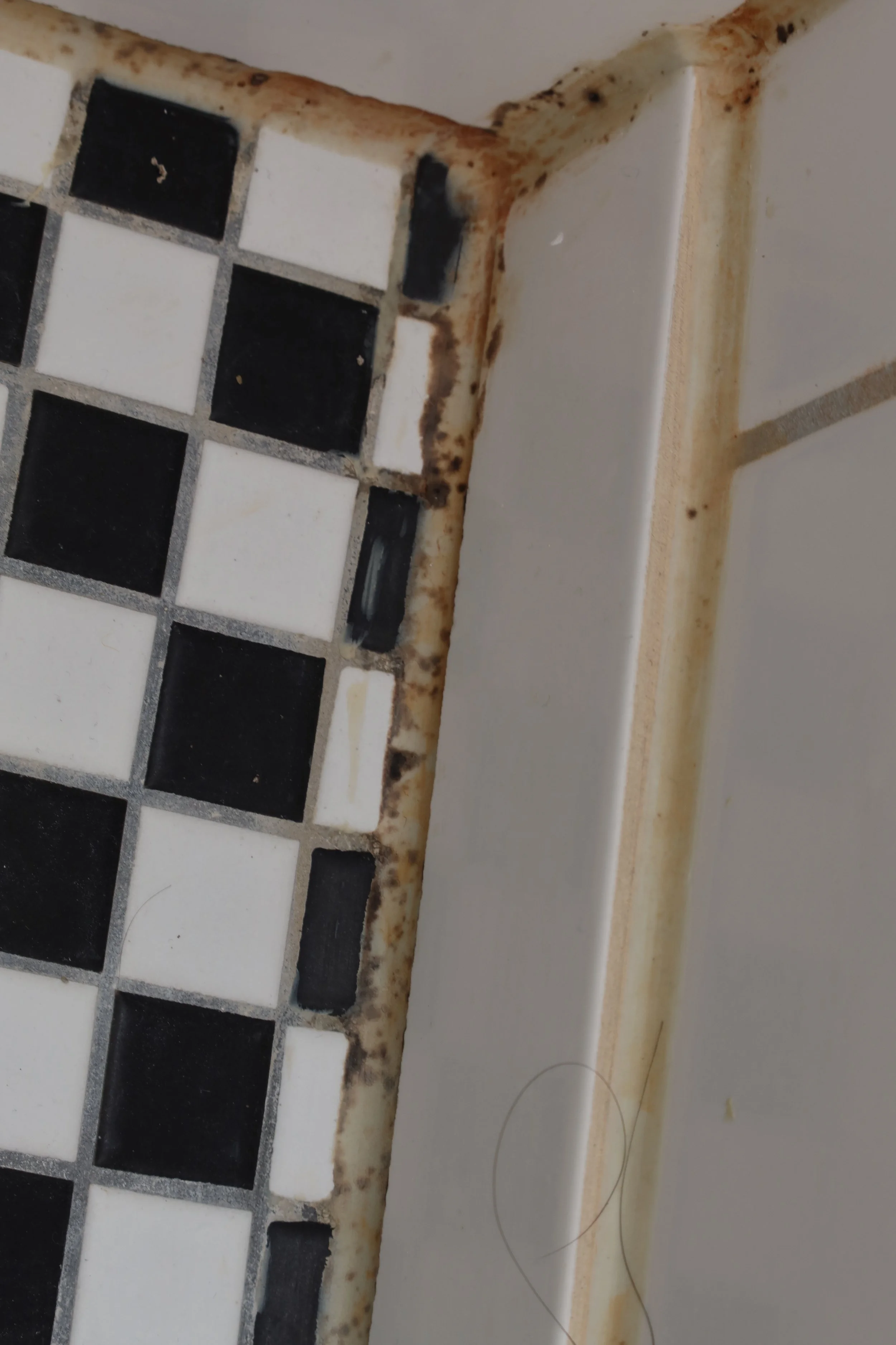 Healthy & Sustainable renovation in Berlin