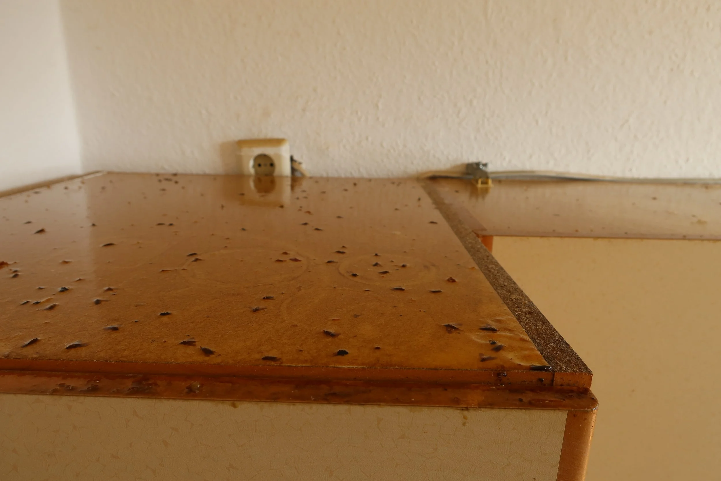 Healthy & Sustainable renovation in Berlin