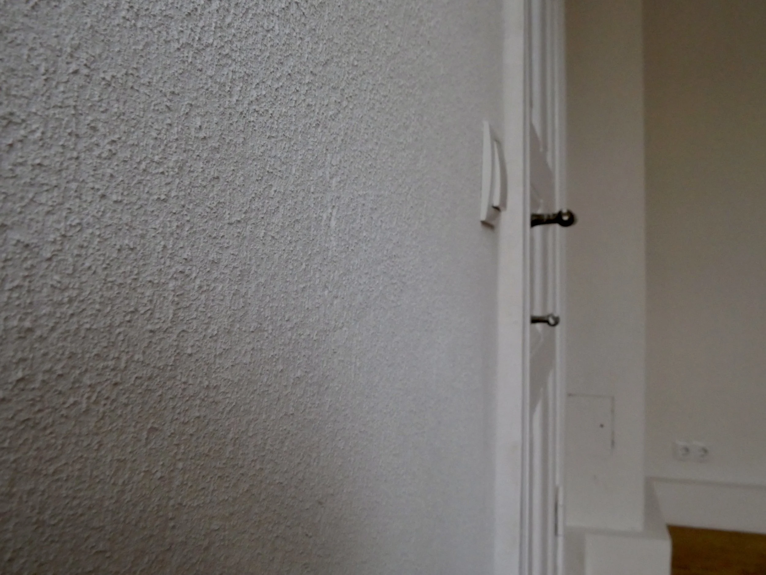 Fine Clay Plaster Paint ("Lehm-Streichputz")