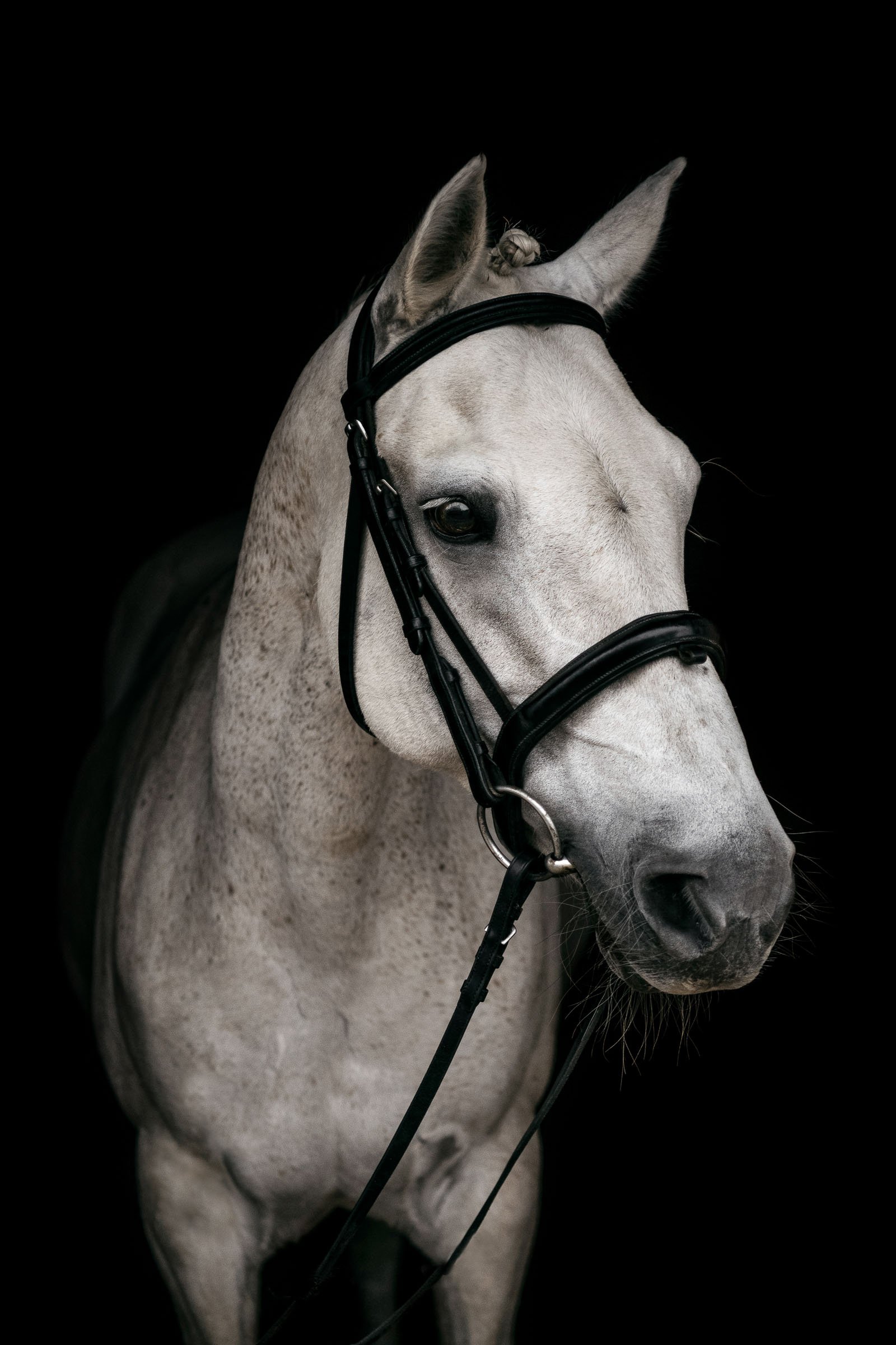 Equestrian-Photography-Final-Goodbye-1-13.jpg