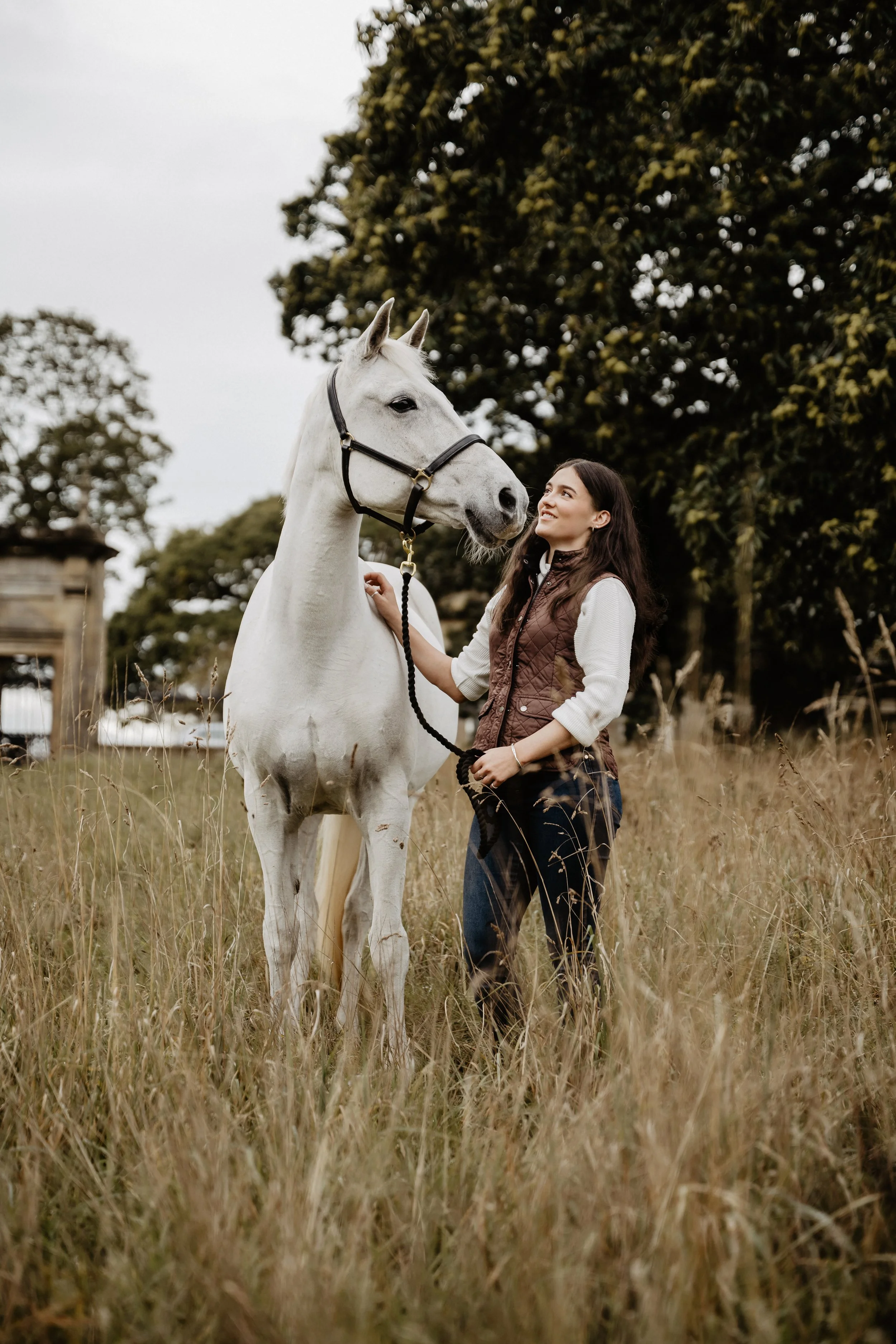 Natural Equine Photography