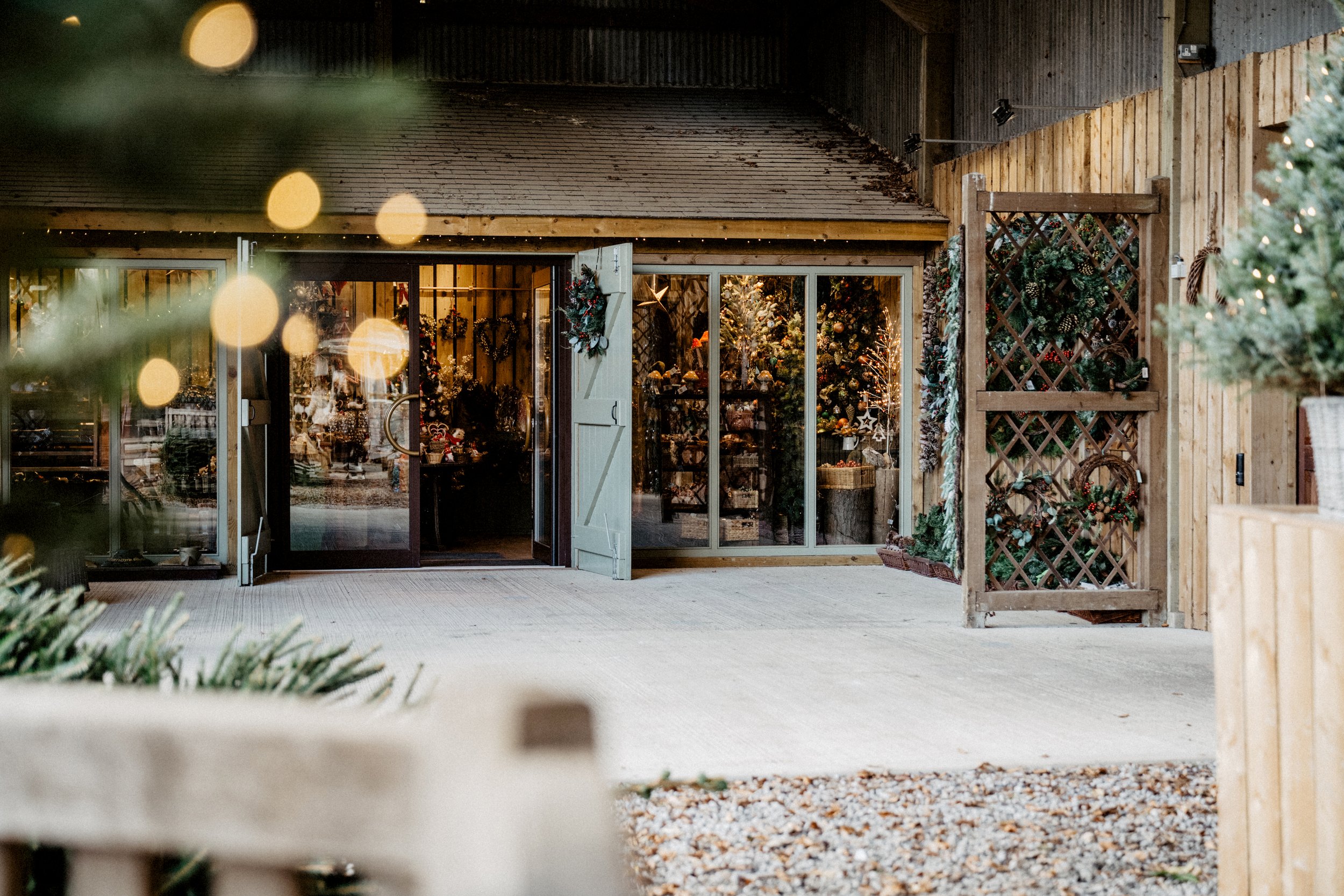 Croft Christmas Trees Photography