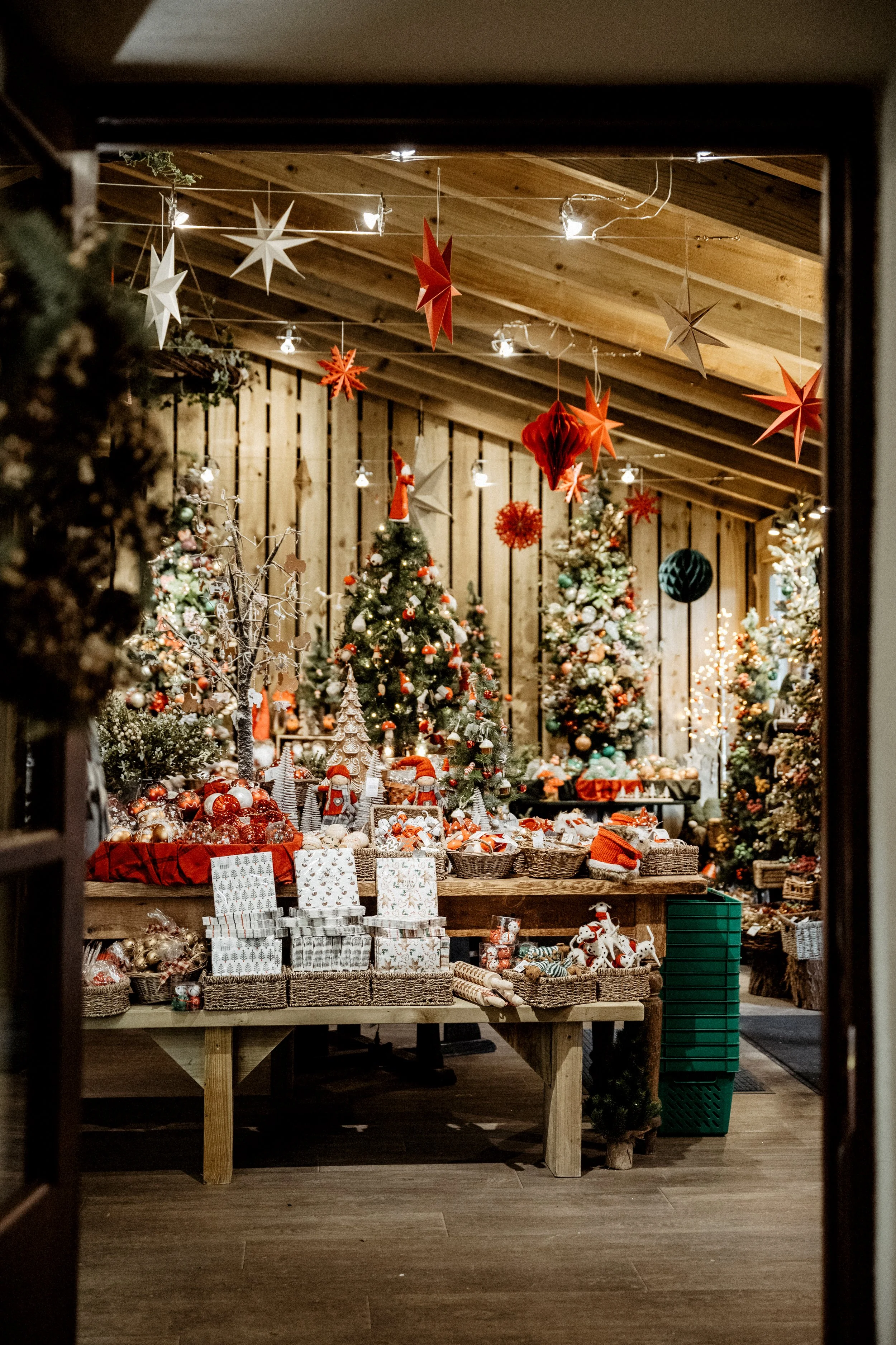 Croft Christmas Trees Photography