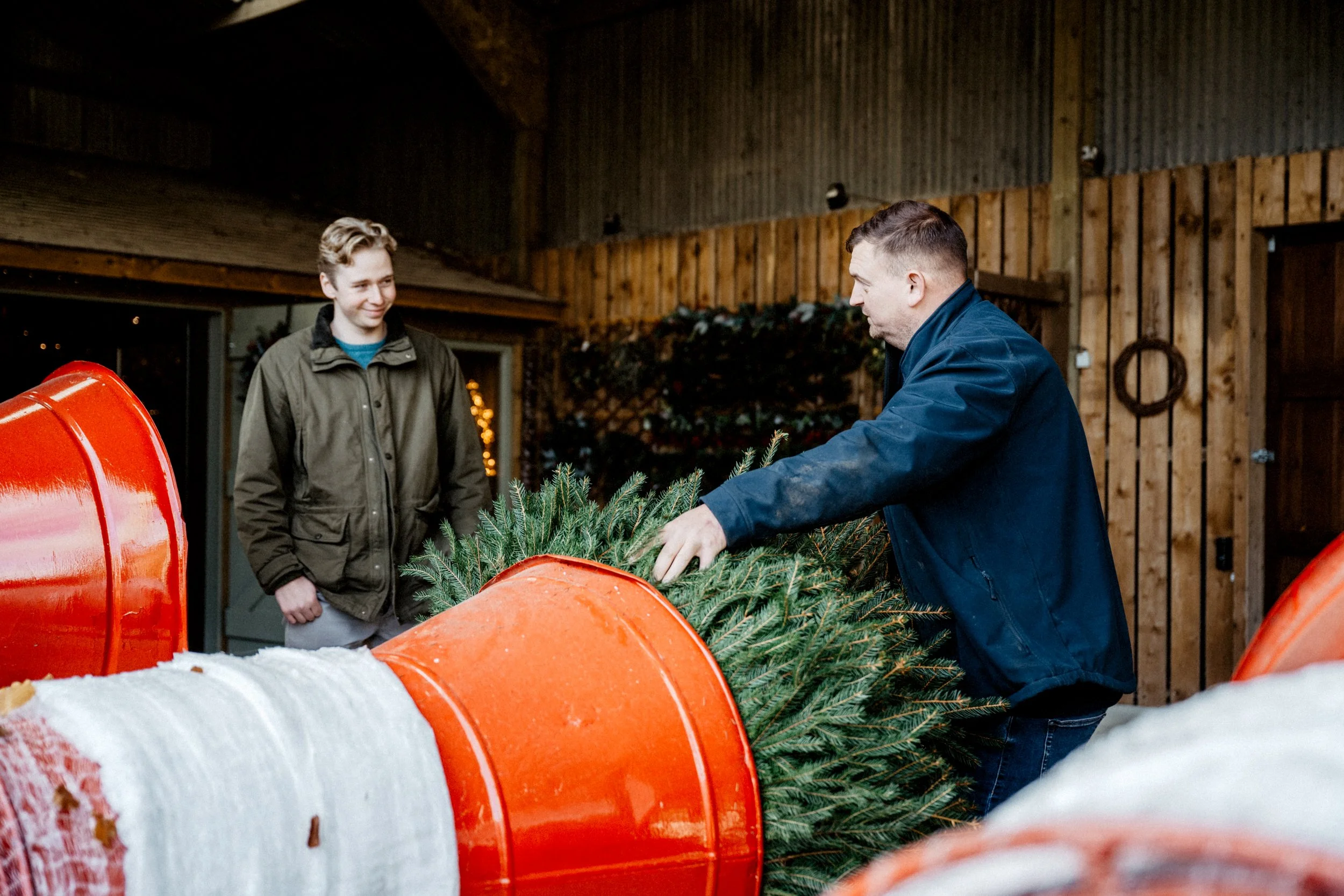 Croft Christmas Trees Photography