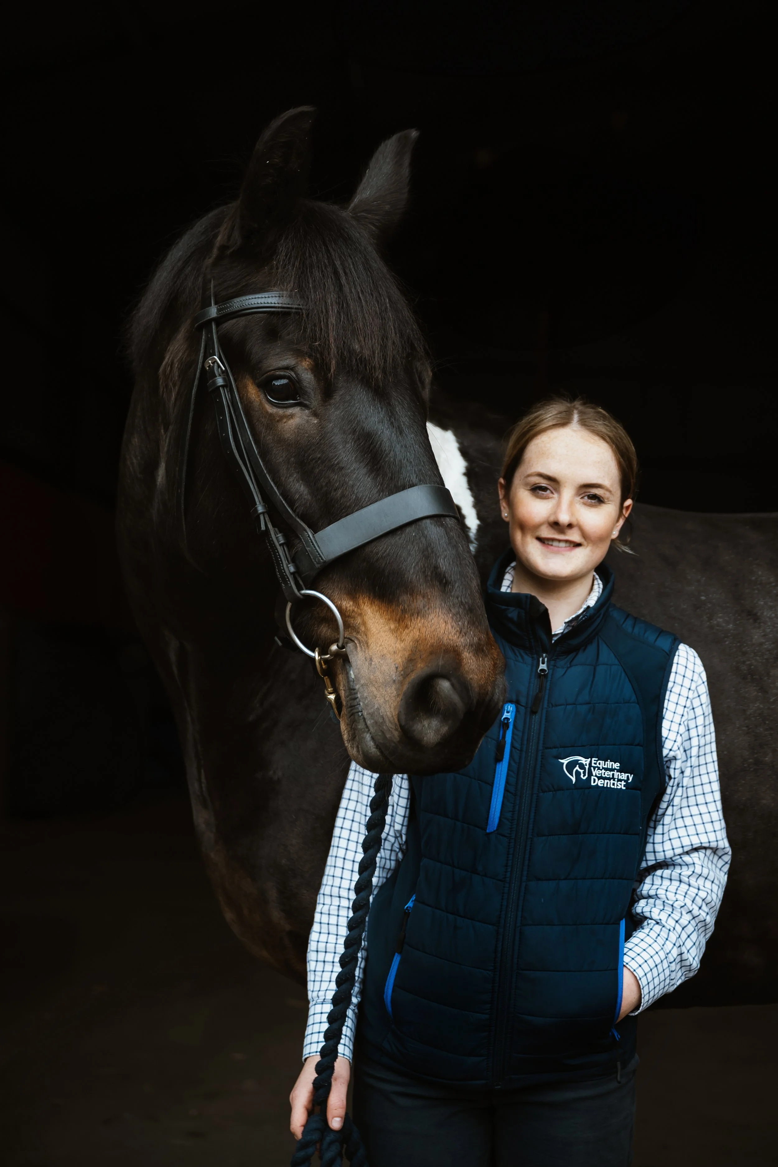 Equine Veterinary Dentist Photography 