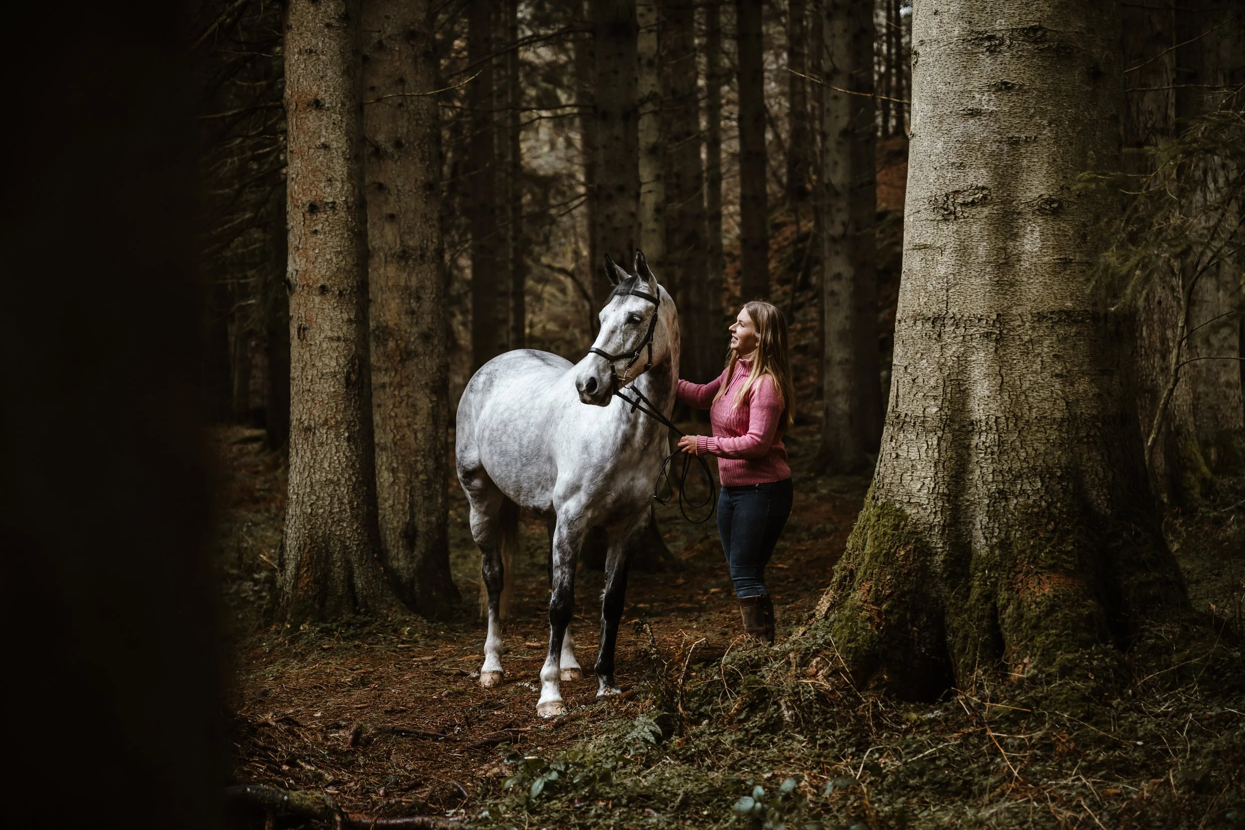 Natural Equine Photography