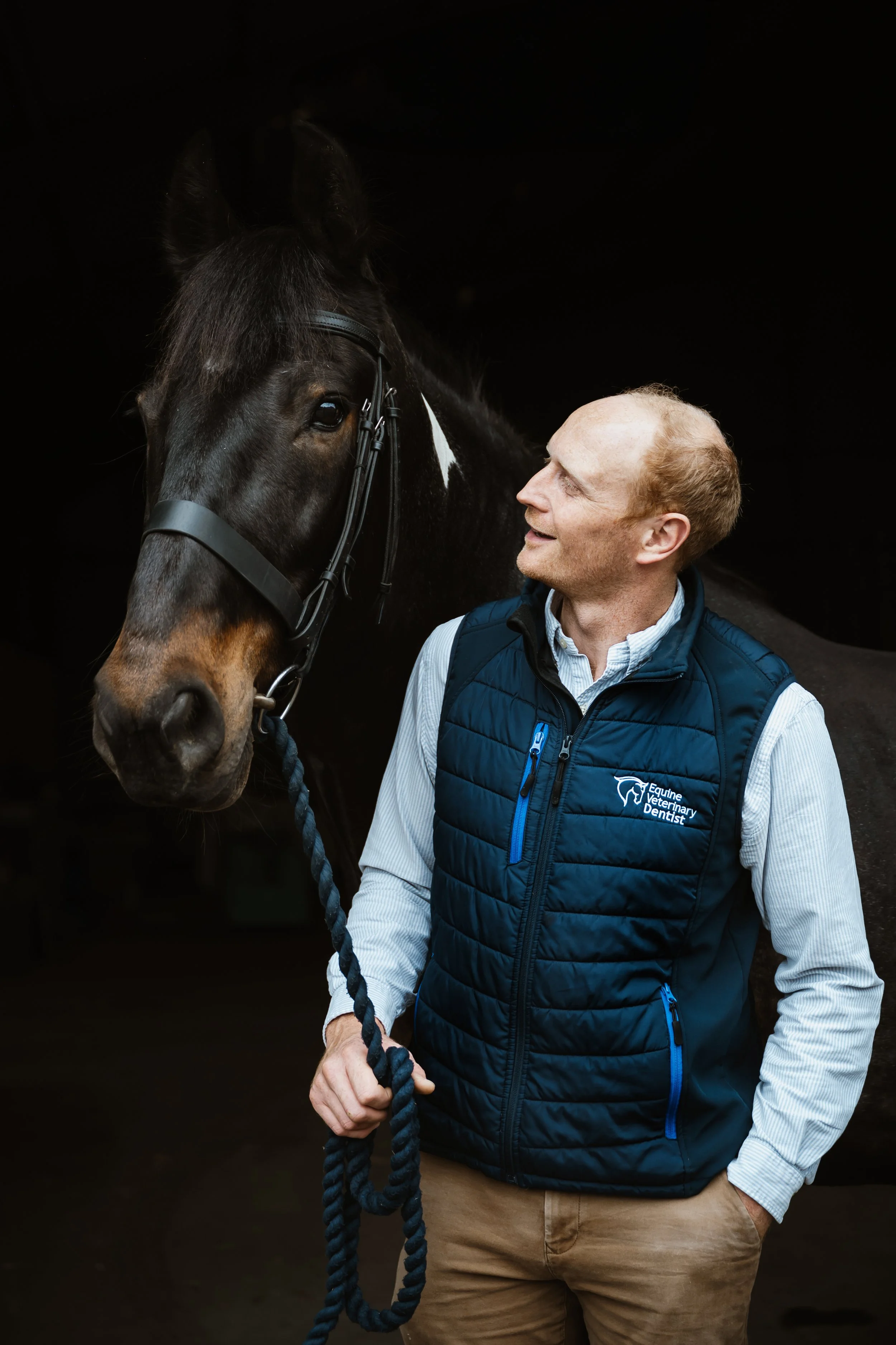 Equine Veterinary Dentist Photography 