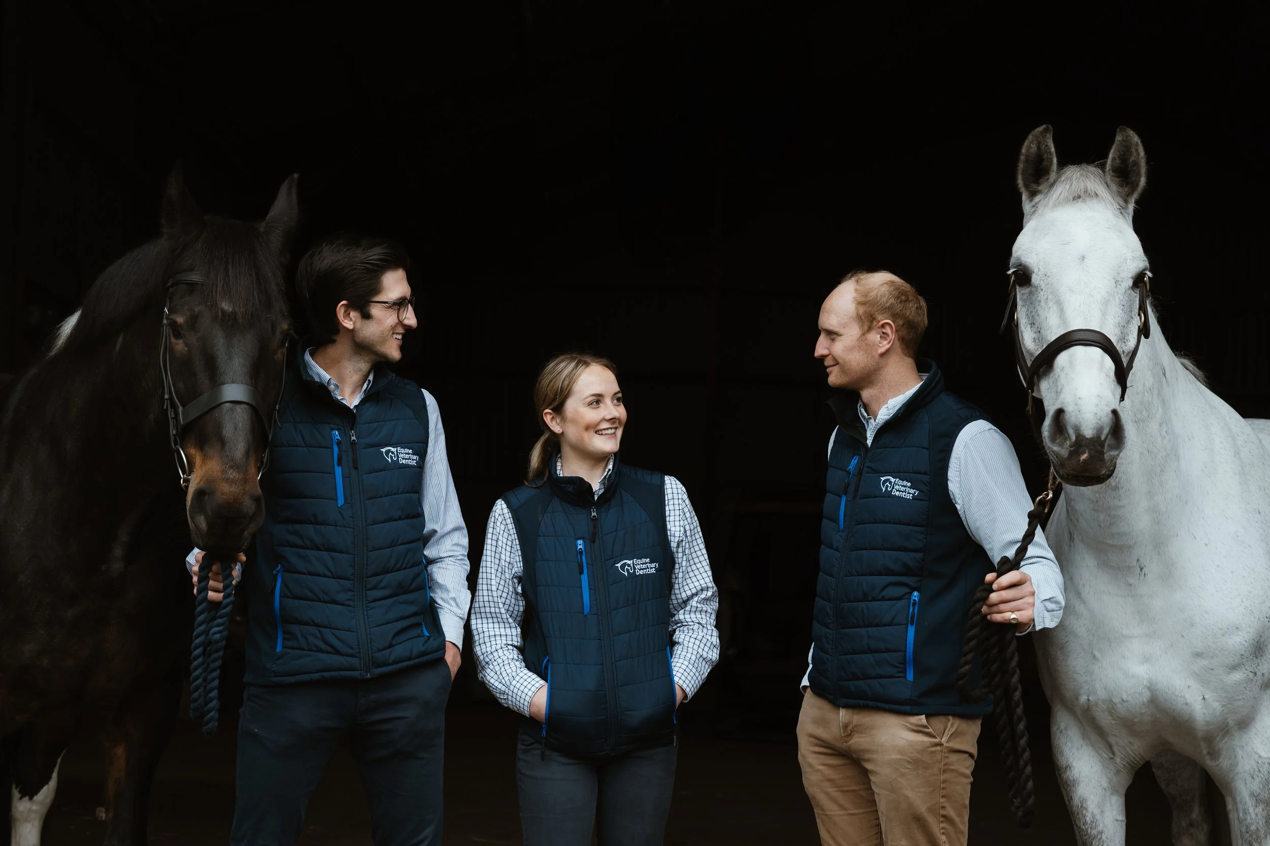 Equine Veterinary Dentist Photography 