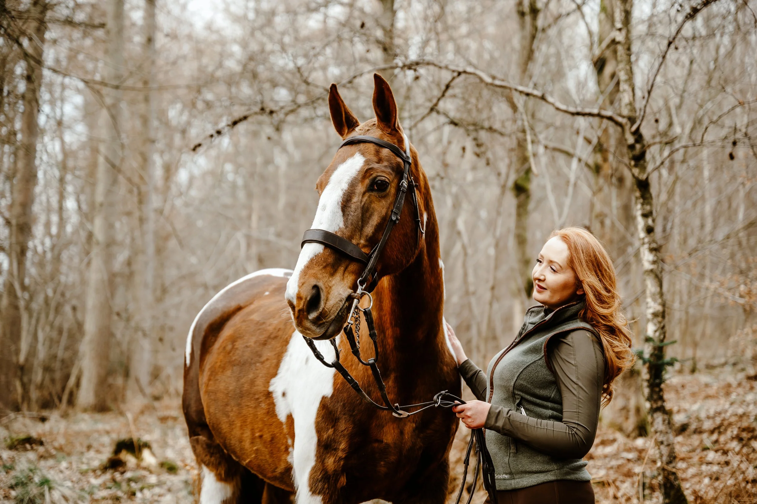 Natural Equine Photography