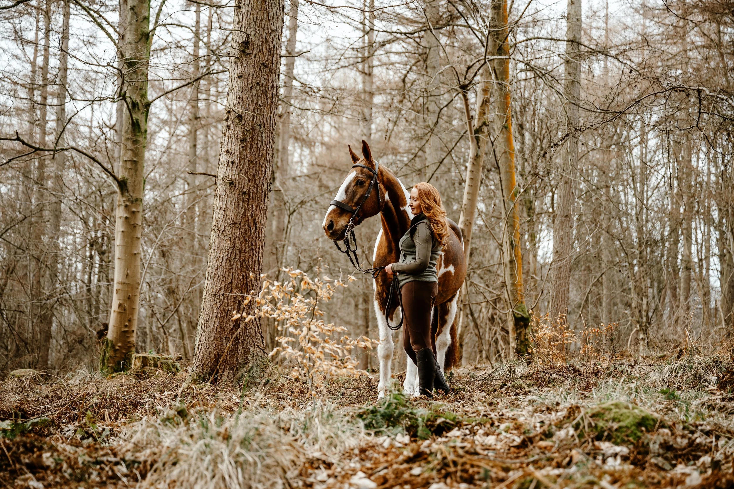 Natural Equine Photography