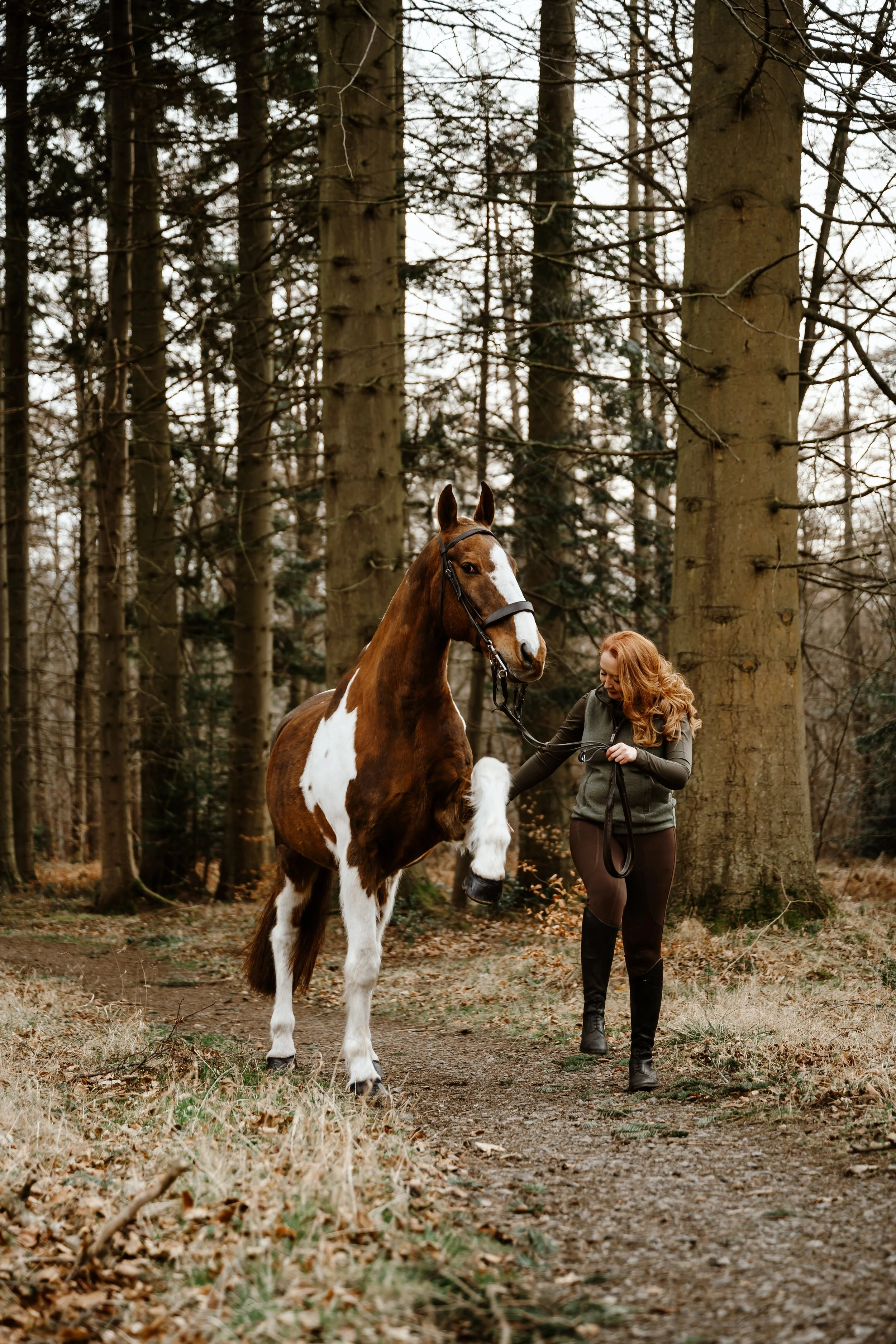Natural Equine Photography