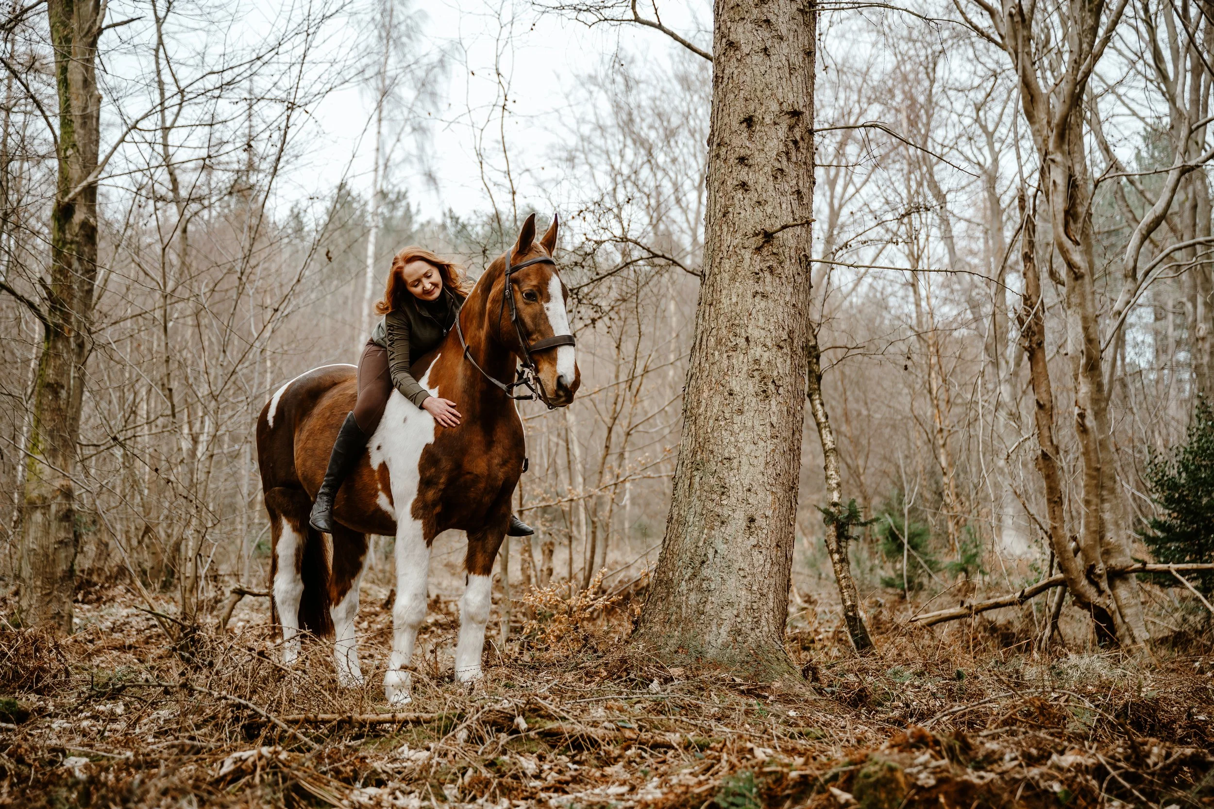 Natural Equine Photography