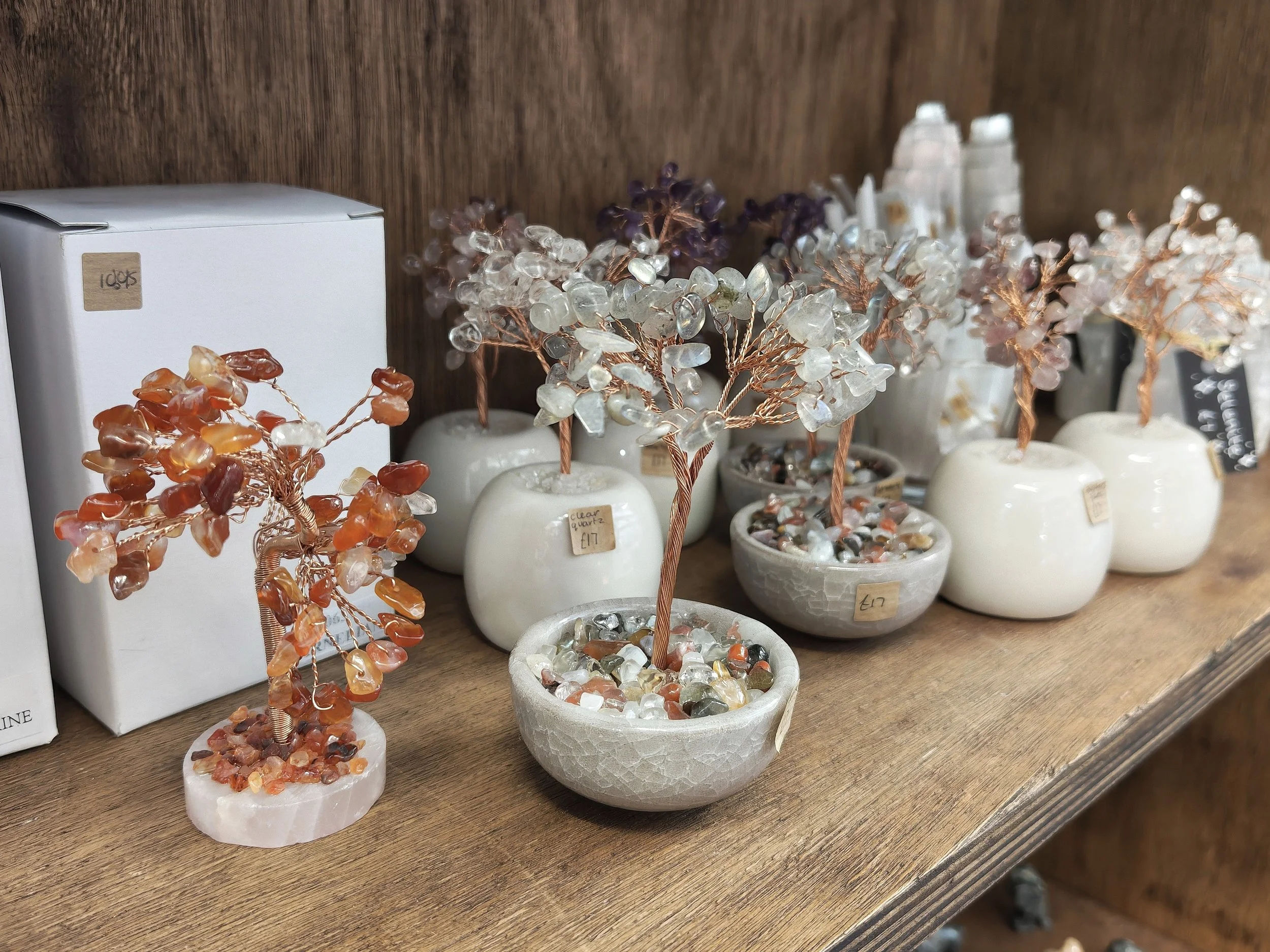 Little trees with gem leaves