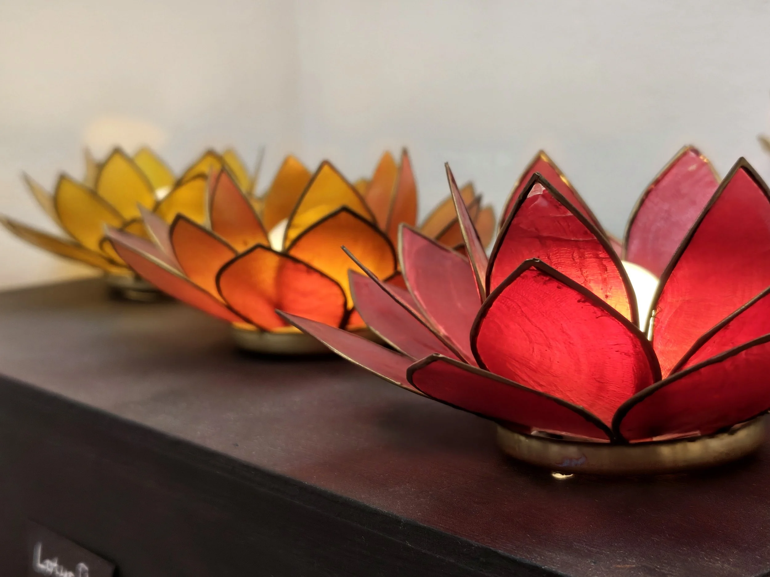 Lotus lamps warm your space