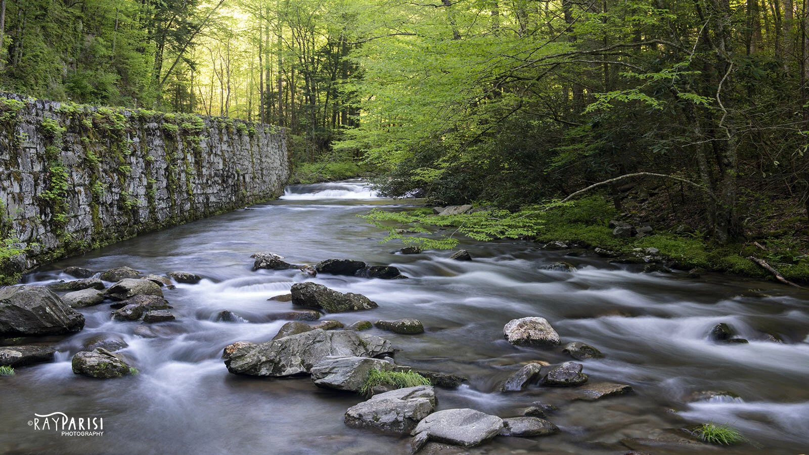 Babbling brook.jpg