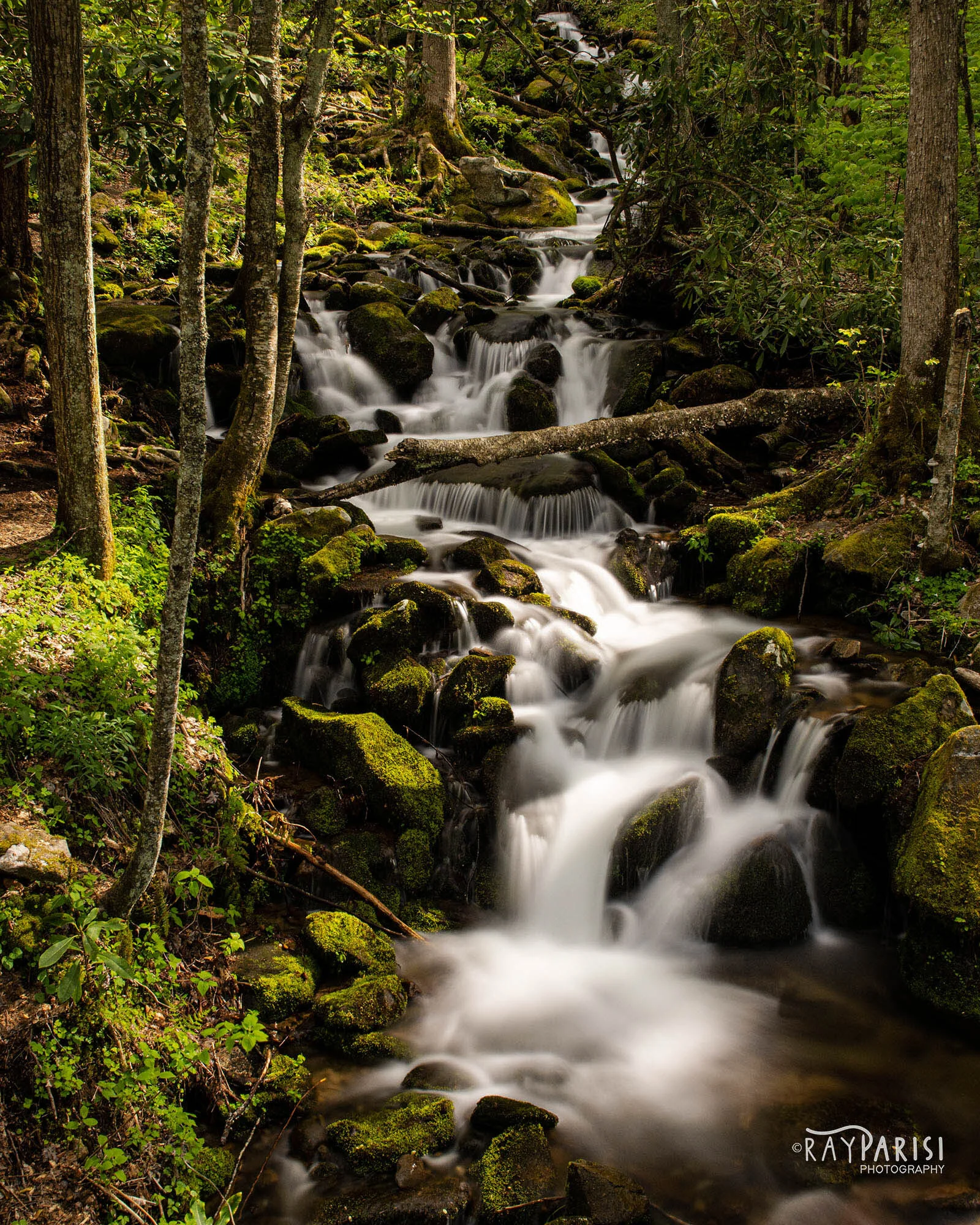 Roadside falls.jpg