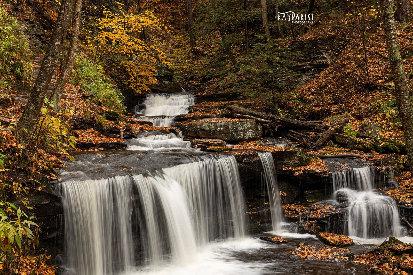 RG Seneca Falls 10-25-22 W.jpg