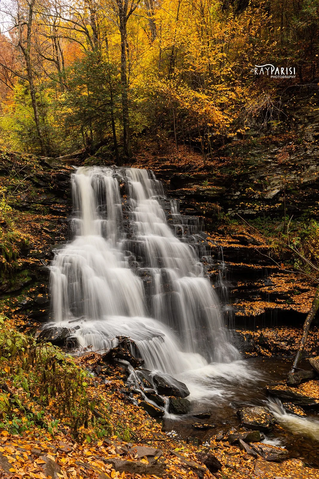 RG Erie Falls 01 10-25-22 W.jpg