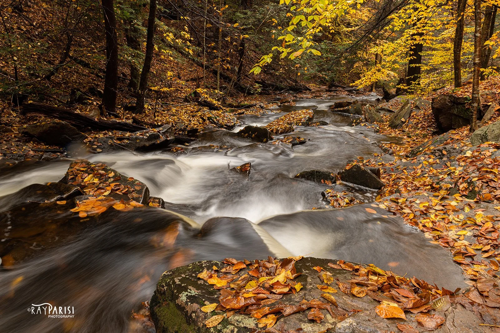 Kitchen Creek 01 10-25-22 W.jpg