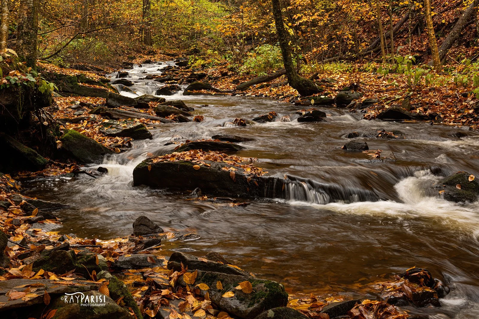 Kitchen Creek 04 10-25-22 W.jpg