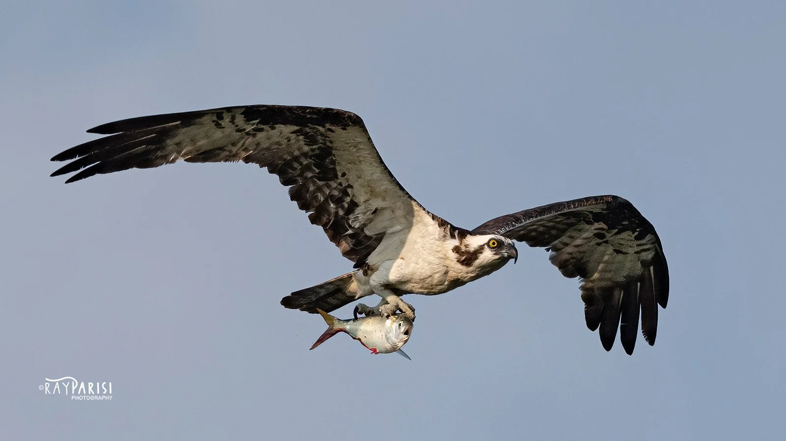 Fishing 01b 8-2-21 W.jpg