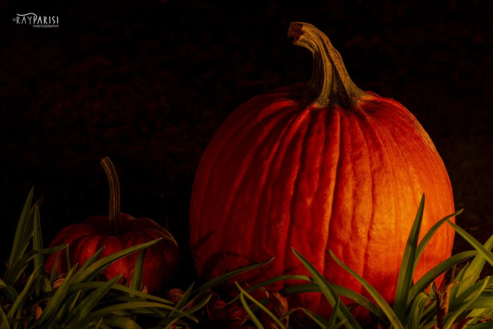 Big n little pumpkin.jpg