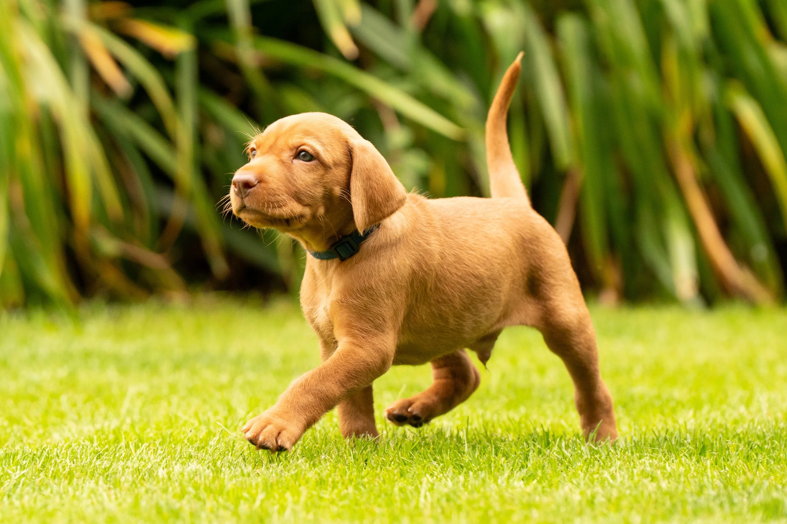 DSC05200.jpg