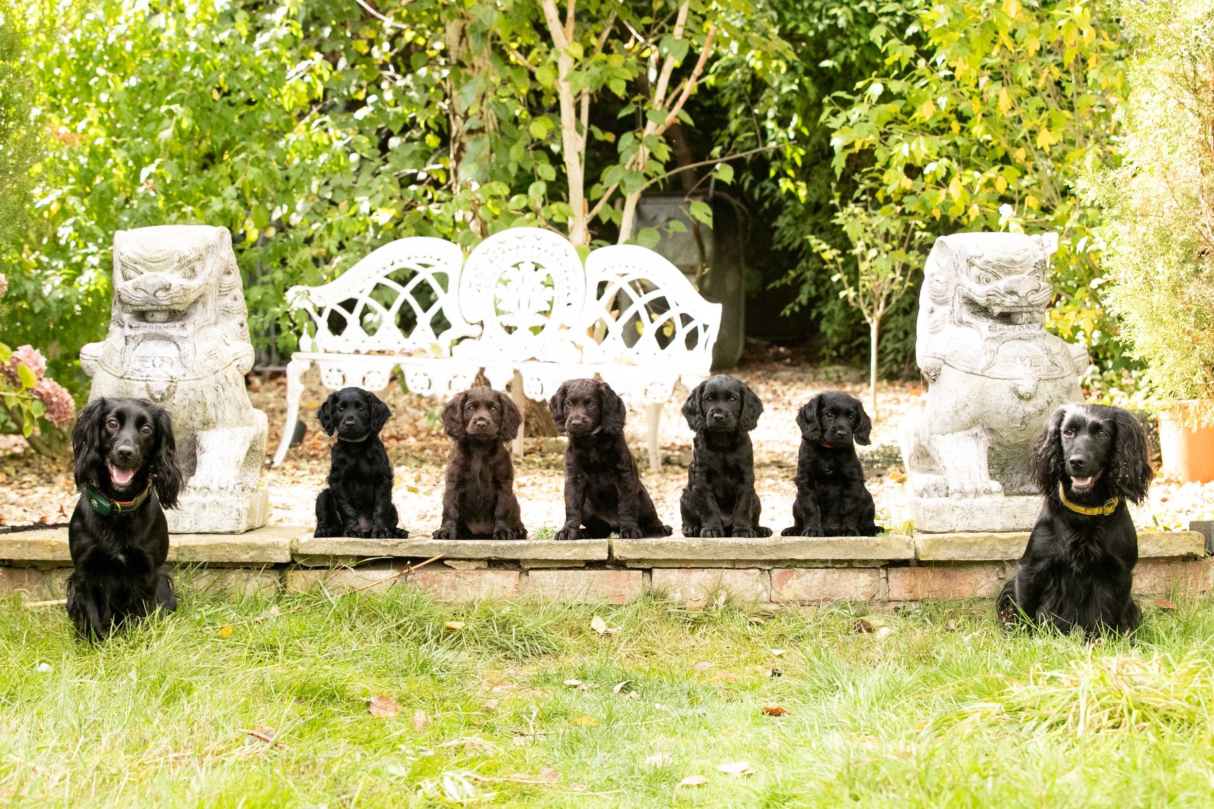 Group Photo.jpg
