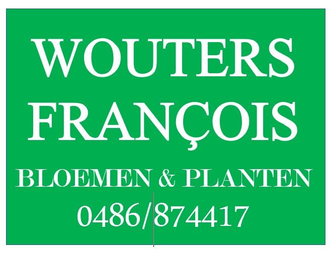 WOUTERS FRANCOIS