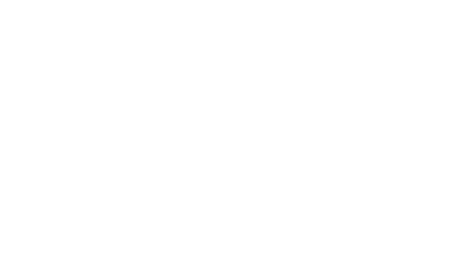 The Big Fix Up