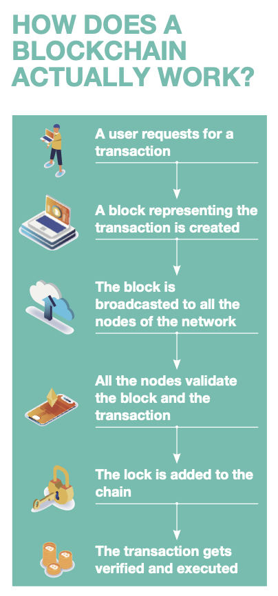 Screen Shot 2022-04-13 at 11.32.51 AM.png