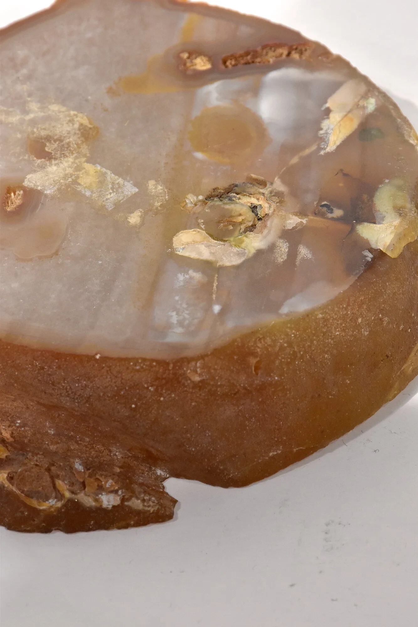 DSC_0967 copie.JPG