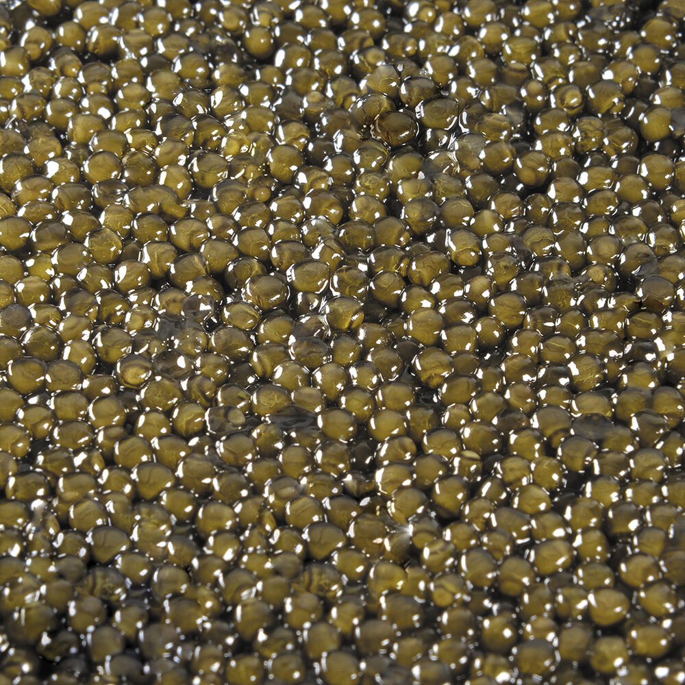 Varicele varicoase în caviar cum sa tratai, Dureri de varicoză decât eliminarea. Bara principală