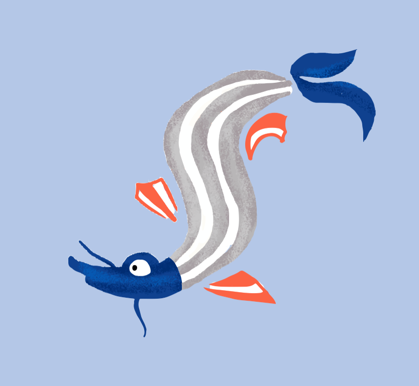 L'esturgeon, un poisson passionnant !