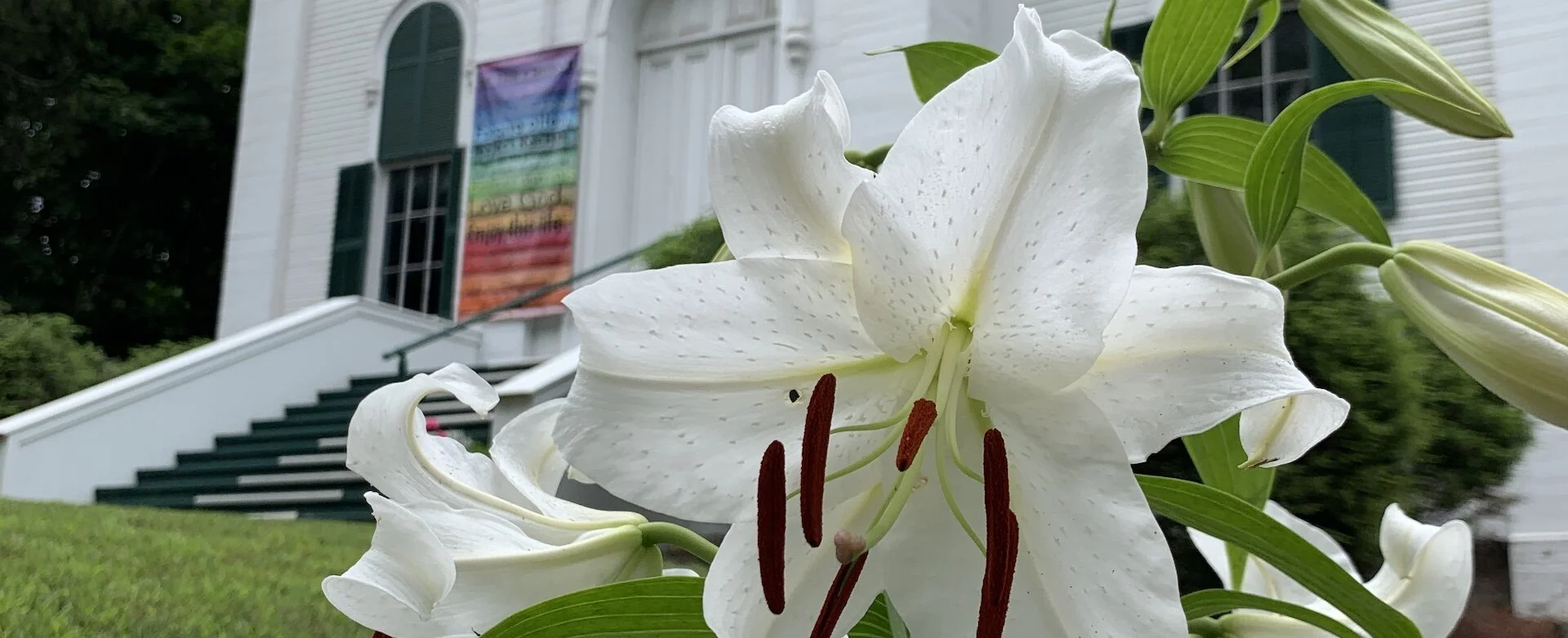 home-lillies_wucc_1612-1920-781.JPG