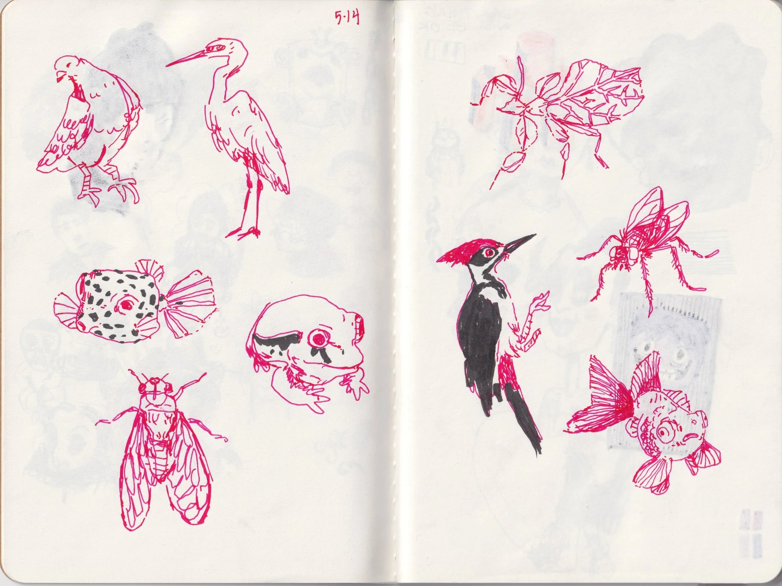 sketchbook_05%3A14.jpg