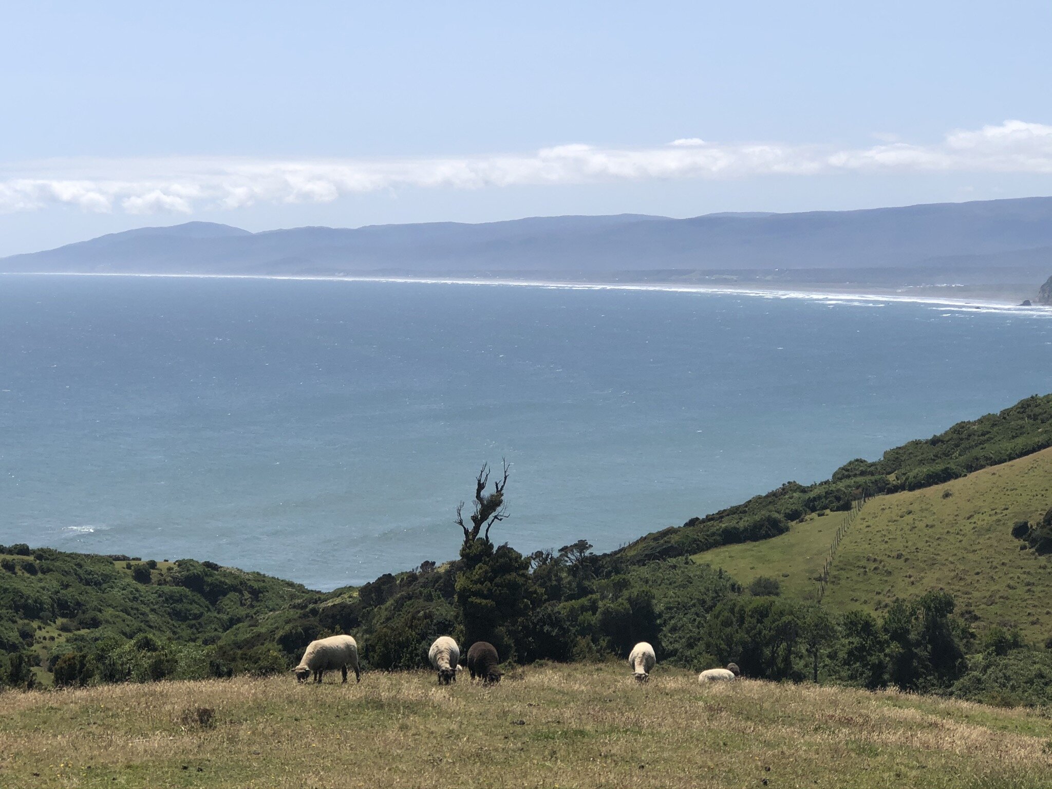 Typical view from a hike
