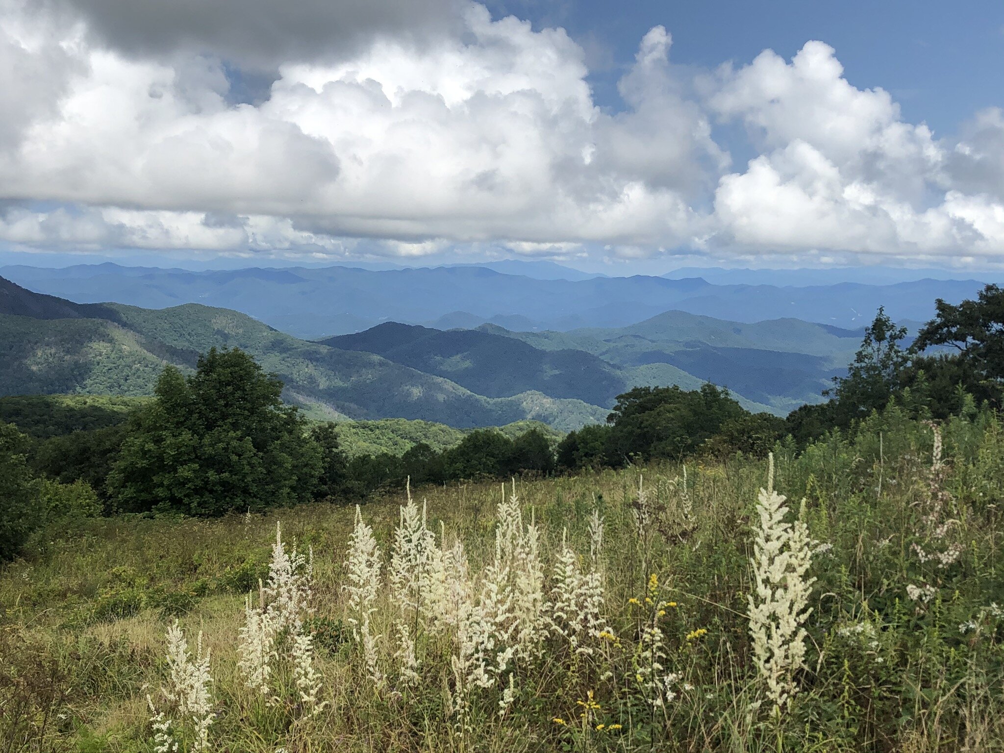 IMG_6444.jpeg