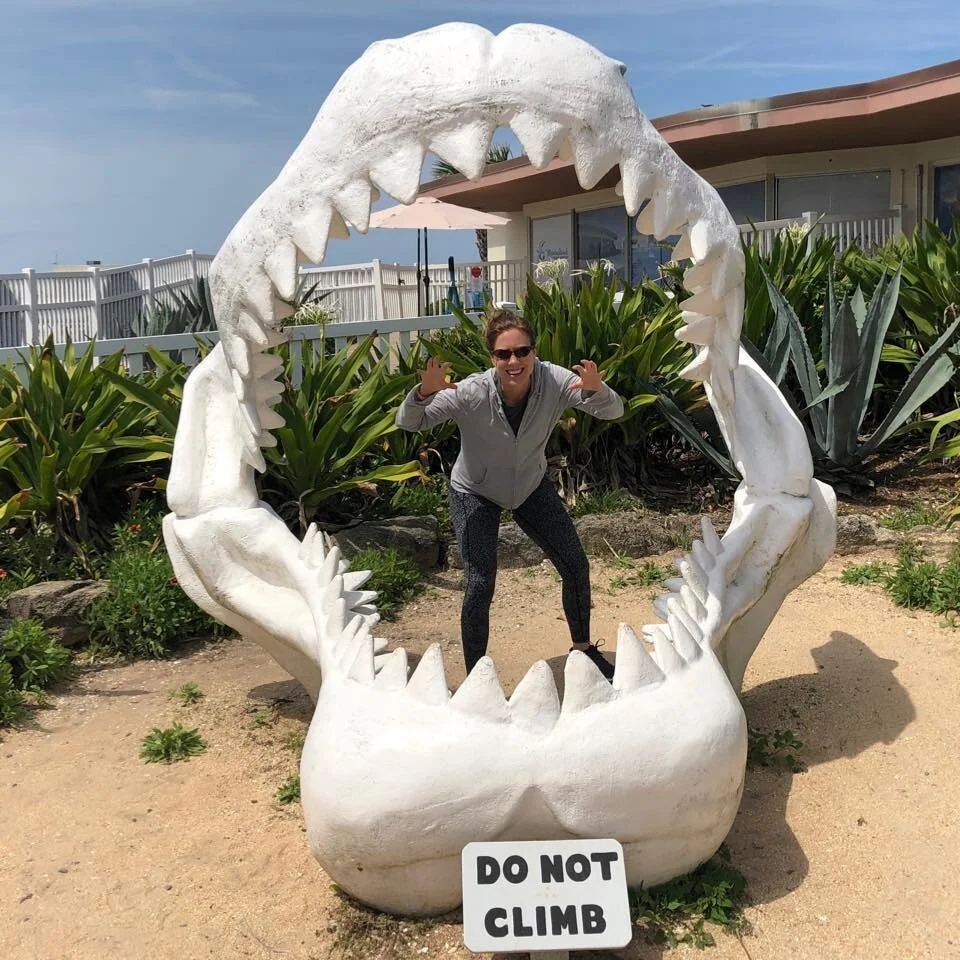 florida jaws.jpg
