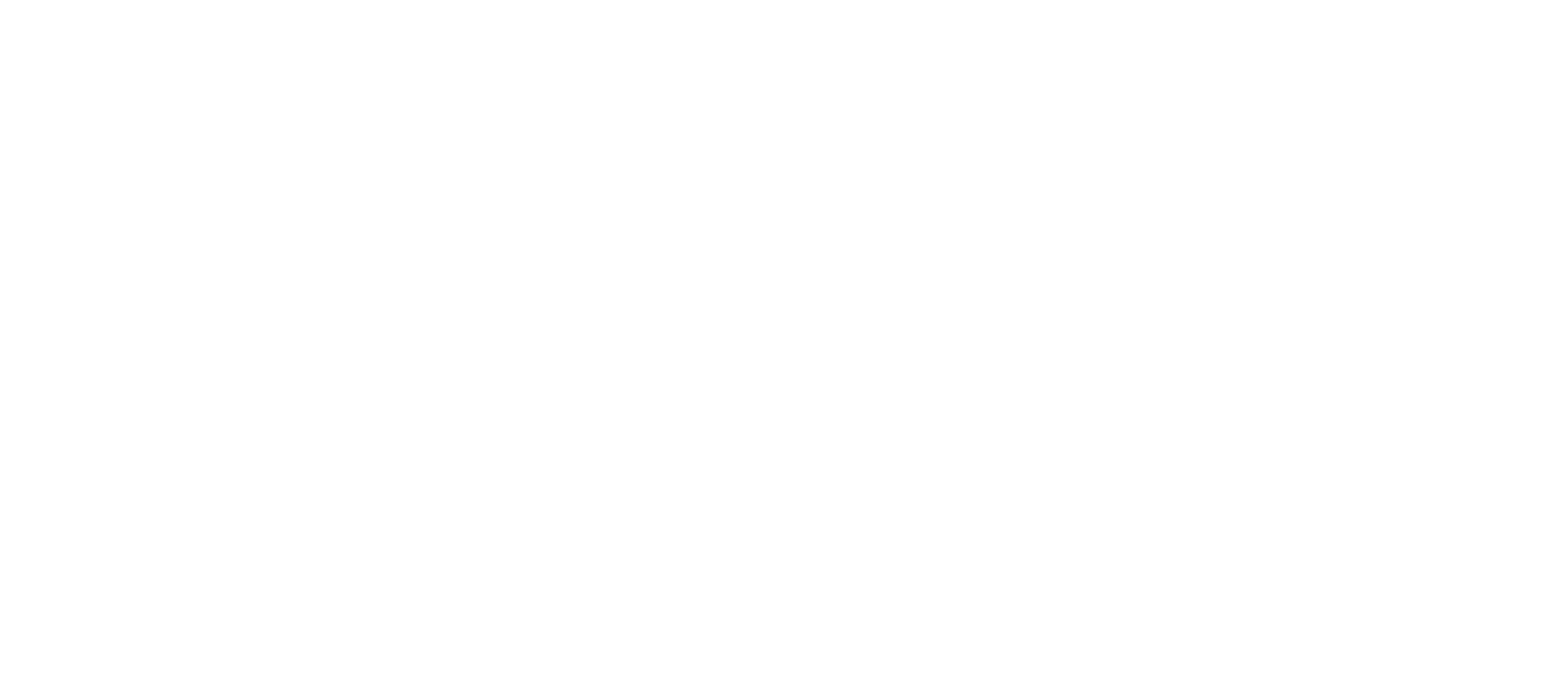 THE HUMAN CO.