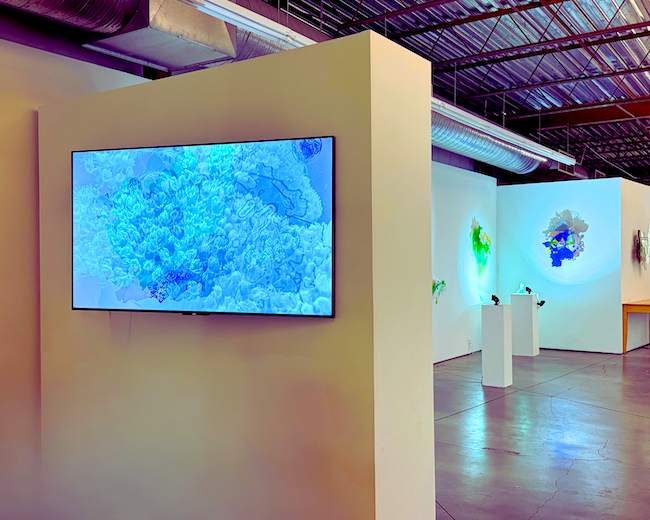 Selected Exhibition Views