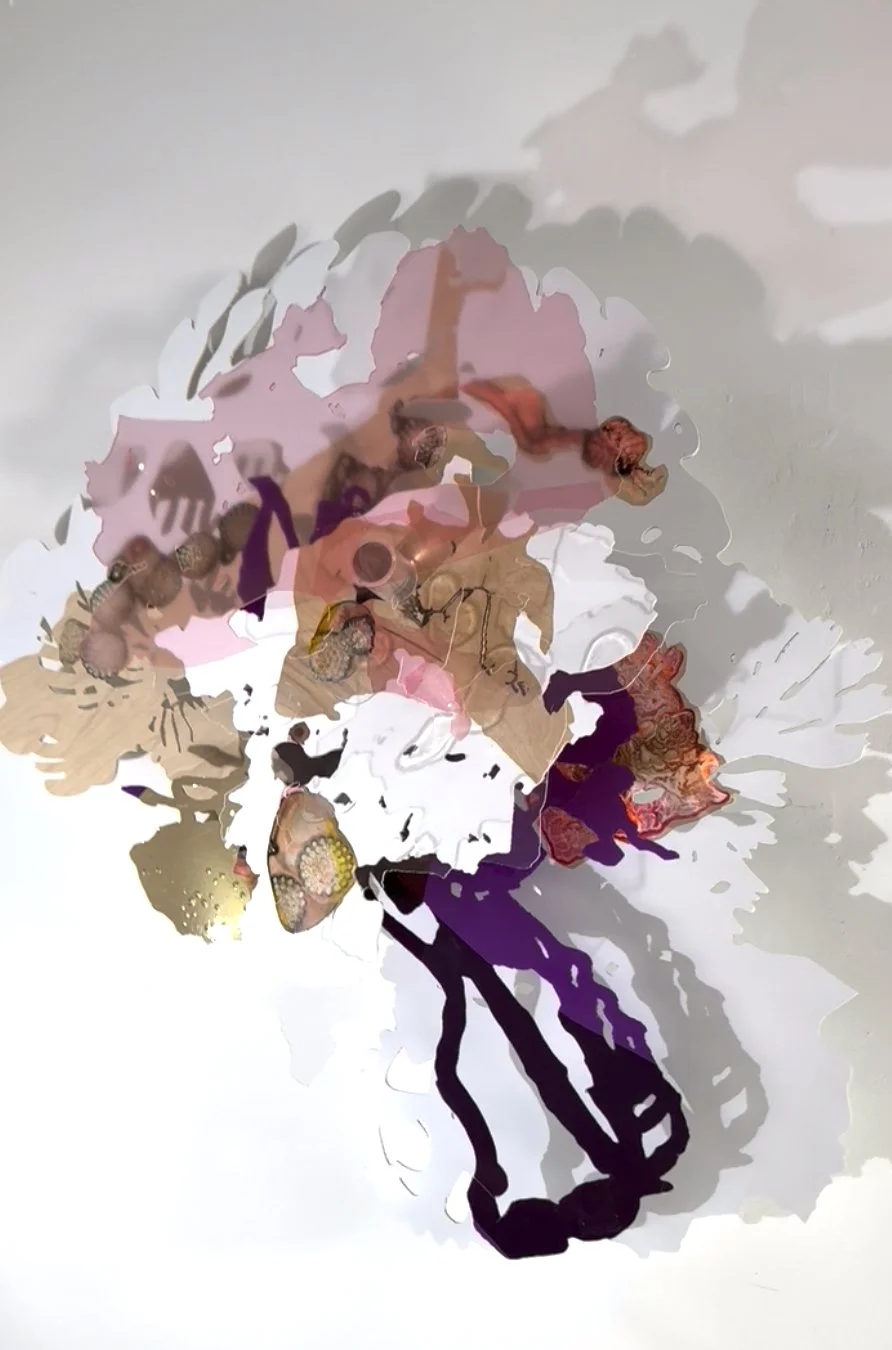 Pink See-Through. view #1
Dimensional Spatial Painting
Birch wood, Plexiglas, acrylics, ink, adhesive gels, drawn elements 
36 x 44 x 12” (dimensions variable with projected lighting)
2025
