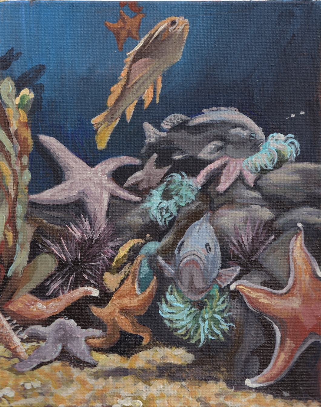 Underwater Color