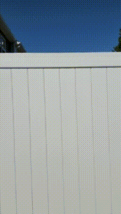 copy_8009702A-E2A8-457F-BFC4-952CE405434E.GIF