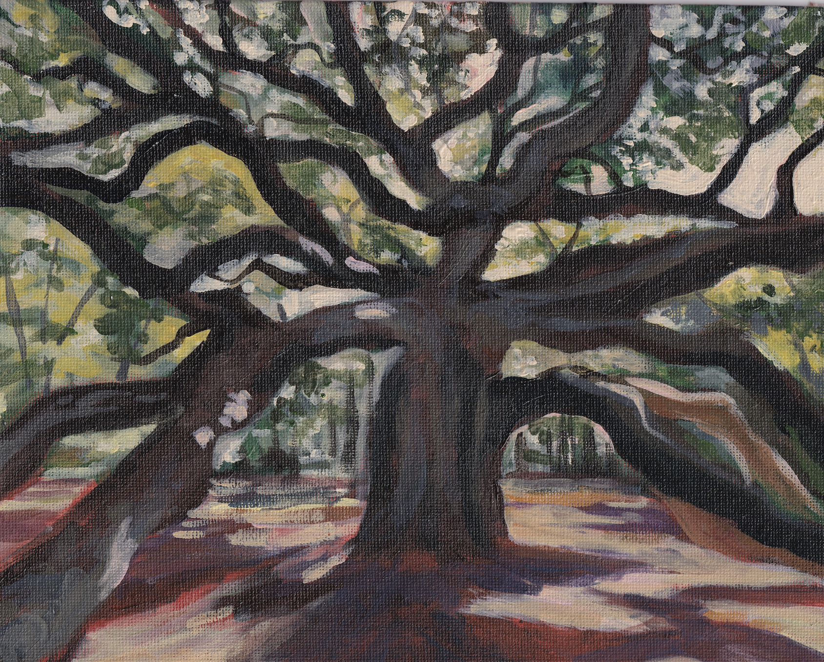 Angel Oak II