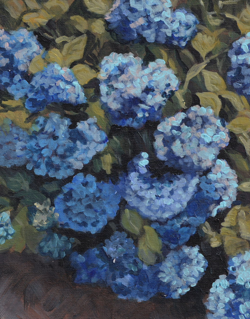 Hydrangea Song