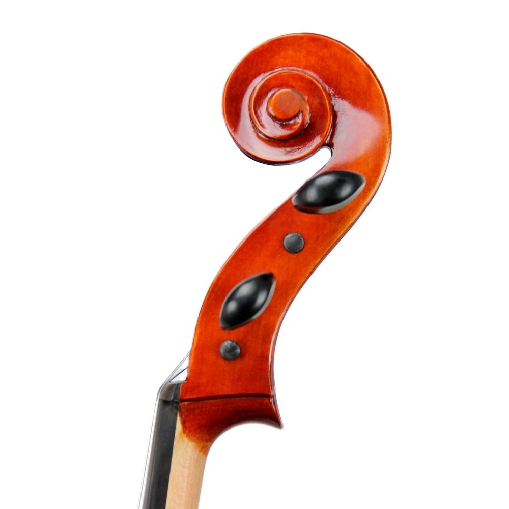 Deluxe Cello Rental Package Scroll.jpg